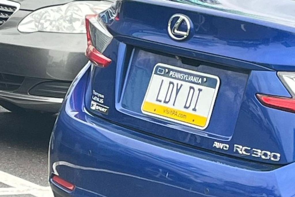 Royals, License Plate, Funny