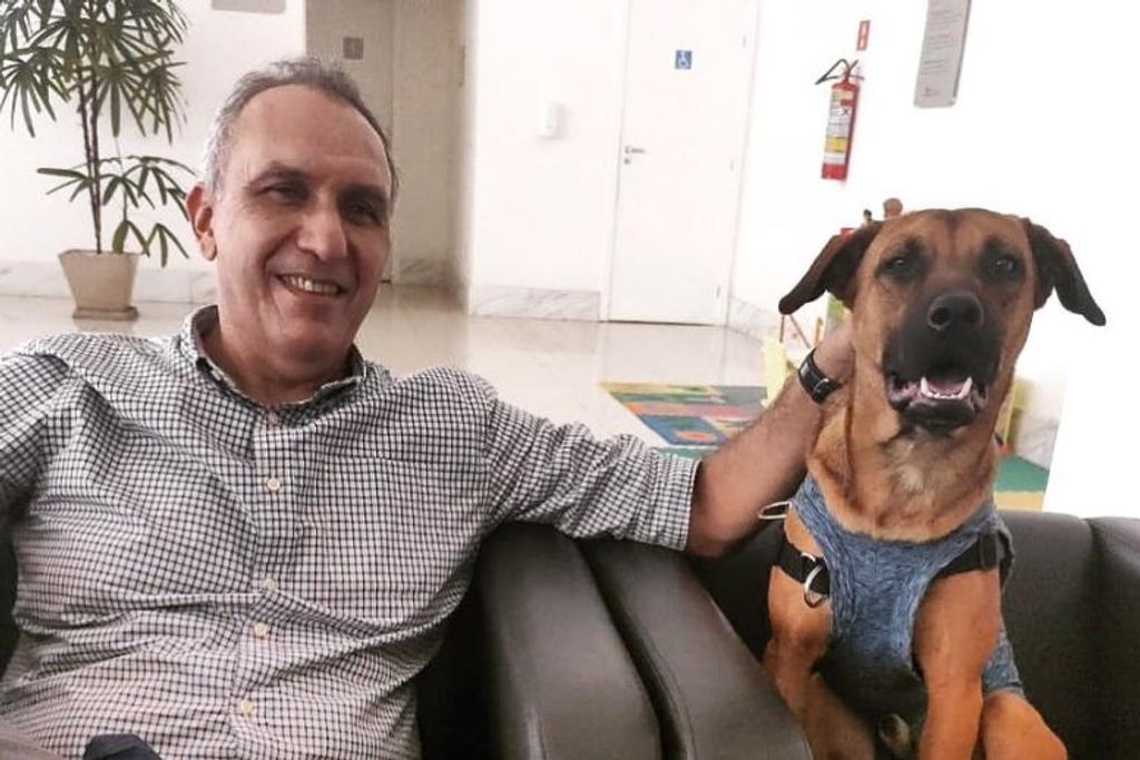 Dog Dealership, Heartwarming, Story