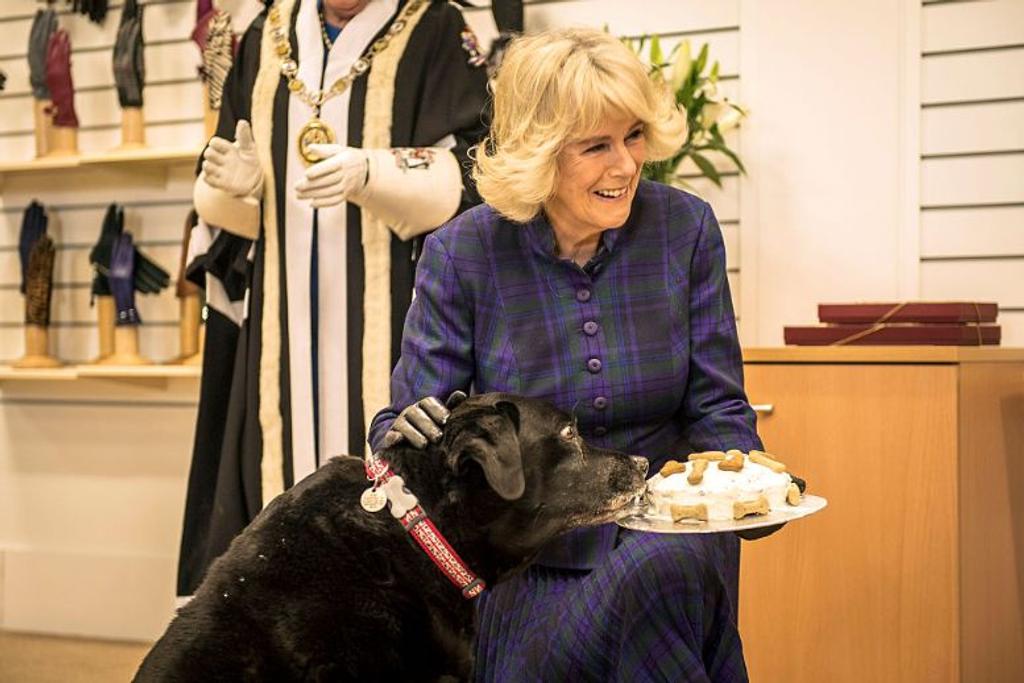 Camilla Queen Consort loves dogs